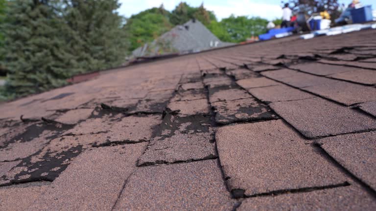 Best Roof Coating and Sealing  in Matoaca, VA